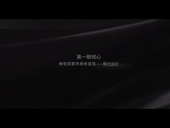 Geely Akçaağaç Yaprağı 80V