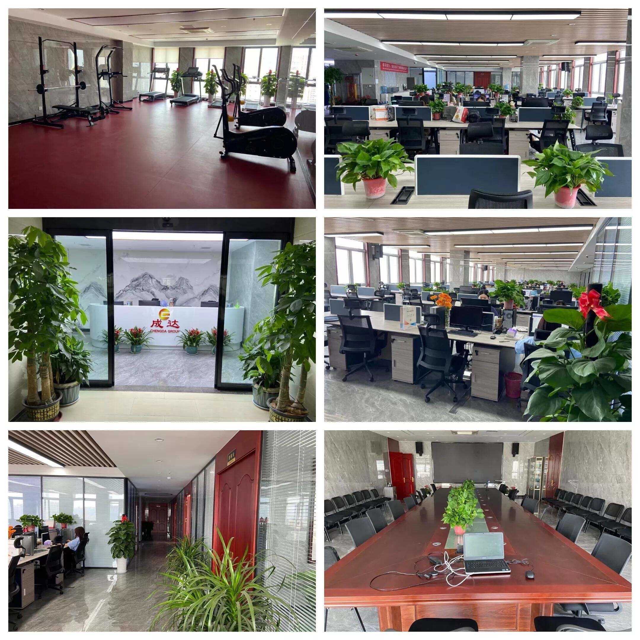 Çin HUNAN DECOMLLC SUPPLY CHAIN CO., LTD. şirket Profili