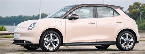 150km/s Çevre Dostu Elektrikli Araçlar 400KM ORA Good Cat Pure Elektrikli Arabalar