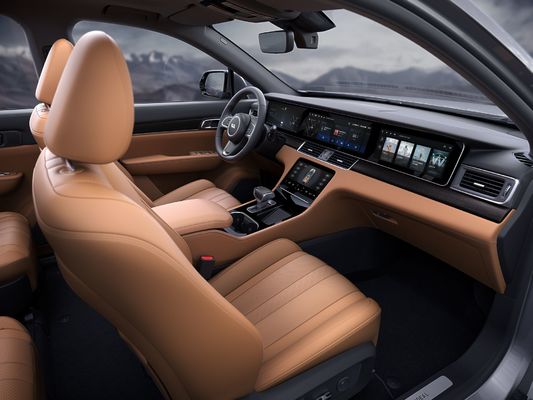 220km/h Plug In Hybrid SUV 700Km Menzil Dört Ekran Altı Kişilik Elektrikli Araba