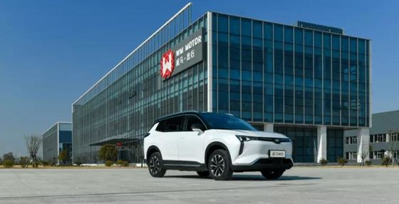 WM W6 Büyük Elektrikli Arabalar 520KM 620KM Yeni Enerji Weltmeister Elektrikli Araba SUV