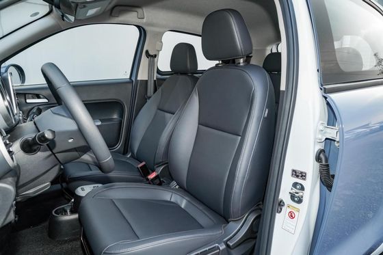 351 KM Elektrikli Mini EV Arabalar Euler Kara Kedi Yeni Enerji Araçları Bayan için 102 km / s