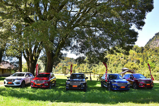 110km 4 Çekişli Elektrikli Arabalar GWM Haval H6 DHT PHEV Plug In Hybrid Araçlar