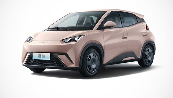 Yüksek Performans 2023 Yeni Byd Seagull EV Tamamen Kapalı 4 Tekerlekli Elektrikli Araba