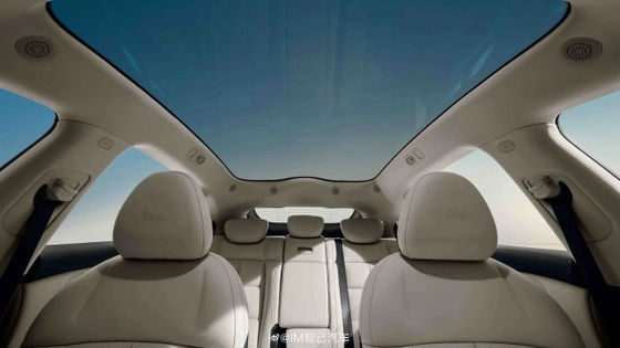 Zhiji LS6 Maksimum Gücü 575kw Tüm Elektrikli Otomobiller En Yüksek Hızlı 252km/h Elektrikli Spor Aracı