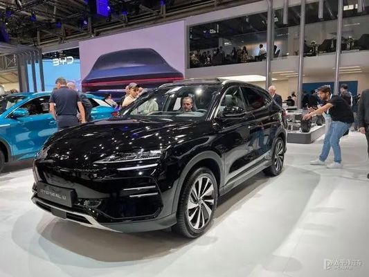 2023 BYD Seal U Uzun Menzilli Arka Sürüş Sürümü 5 Koltuk Sol Vuran Elektrikli Araçlar